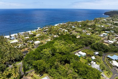 Rare opportunity to own a collection of eight lots near the - photo 8