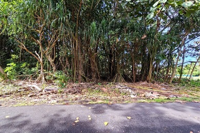 Rare opportunity to own a collection of eight lots near the - photo 1