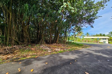 Rare opportunity to own a collection of eight lots near the - photo 2