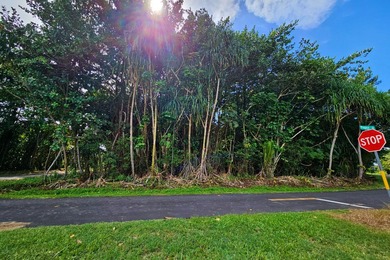 Rare opportunity to own a collection of eight lots near the - photo 4
