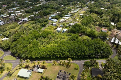 Rare opportunity to own a collection of eight lots near the - photo 9
