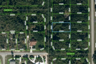 Lake Istokpoga Lot For Sale in Lake Placid Florida