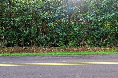 Rare opportunity to own a collection of eight lots near the - photo 2