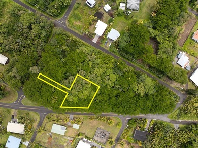 Rare opportunity to own a collection of eight lots near the - photo 3