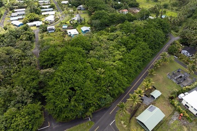 Rare opportunity to own a collection of eight lots near the - photo 9