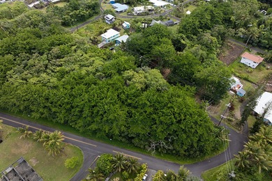 Rare opportunity to own a collection of eight lots near the - photo 10