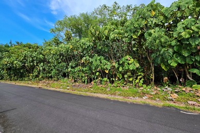 Rare opportunity to own a collection of eight lots near the - photo 1