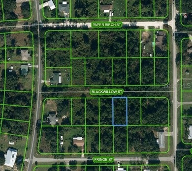 Lake Istokpoga Lot For Sale in Lake Placid Florida