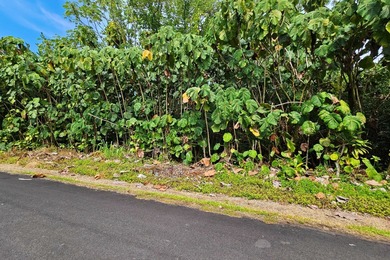 Rare opportunity to own a collection of eight lots near the - photo 2