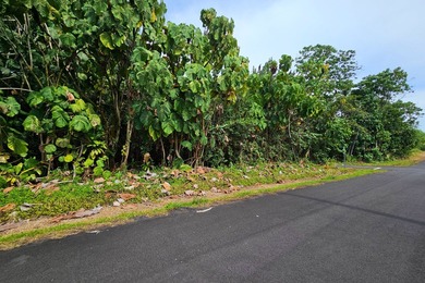 Rare opportunity to own a collection of eight lots near the - photo 3