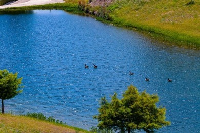 This exceptional turnkey ranch combines privacy, recreation, and - photo 6