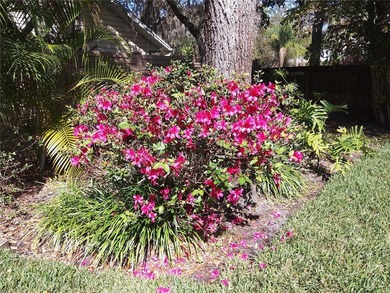 Under contract-accepting backup offers. Welcome Home to Sage - photo 14