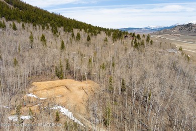 This is the chance for your dream mountain cabin! This gorgeous - photo 7