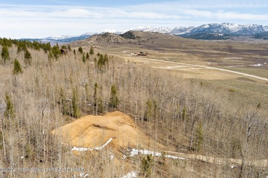 This is the chance for your dream mountain cabin! This gorgeous - photo 8