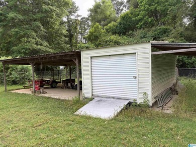 LOVE BOATING, FISHING? IDEAL LAKE GETAWAY! STORE YOUR BOAT! Just - photo 28