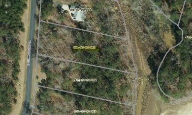 Wooded PRIVACY. The sounds of frogs and crickets at night - Lake Lot For Sale in Cross Hill, South Carolina
