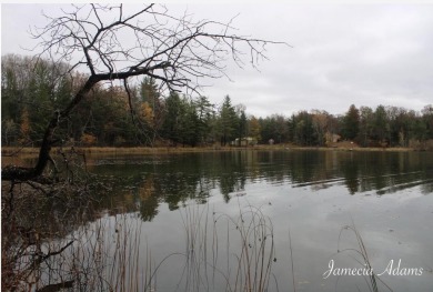 Lake Lot For Sale in Idlewild, Michigan