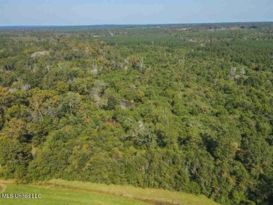 Lake Acreage For Sale in Mize, Mississippi