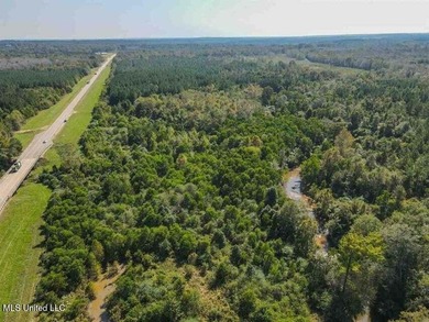 Are you looking for hunting land, or a nice mature track of - photo 2