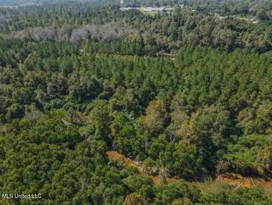 Are you looking for hunting land, or a nice mature track of - photo 5