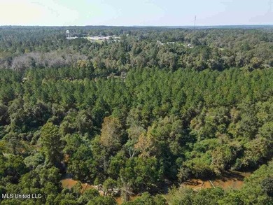 Are you looking for hunting land, or a nice mature track of - photo 6