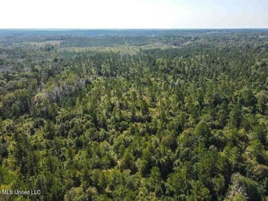 Are you looking for hunting land, or a nice mature track of - photo 7