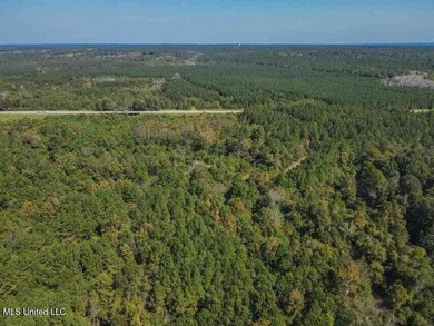 Are you looking for hunting land, or a nice mature track of - photo 8