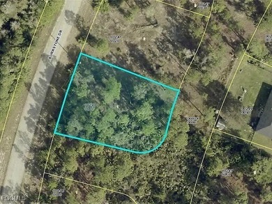 Lehigh Acres Area Lot For Sale in Lehigh Acres Florida