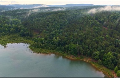 100 ACRES of LAKE FRONT and LAKEVIEW on PARTY COVE (Thompson - photo 2