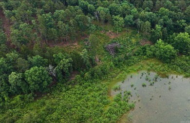100 ACRES of LAKE FRONT and LAKEVIEW on PARTY COVE (Thompson - photo 3