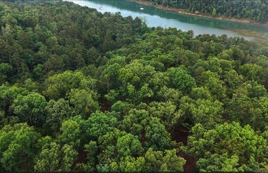 100 ACRES of LAKE FRONT and LAKEVIEW on PARTY COVE (Thompson - photo 4