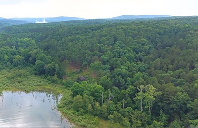 100 ACRES of LAKE FRONT and LAKEVIEW on PARTY COVE (Thompson - photo 5
