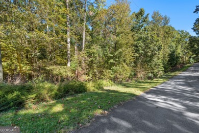Lake Acreage For Sale in Lagrange, Georgia
