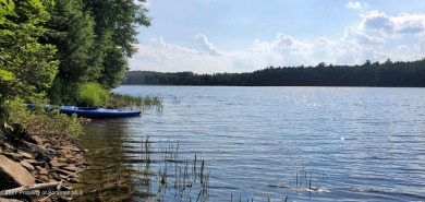 Dunn Lake Acreage For Sale in Thompson Pennsylvania