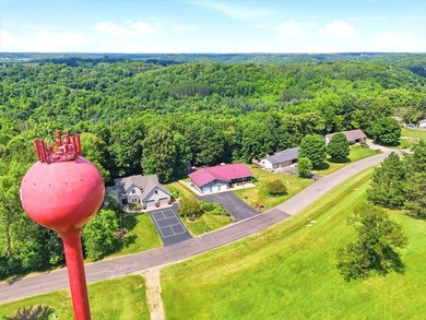 Beautiful 4 bedroom, 3 bath rambler on 1+ acre lot across the - photo 33