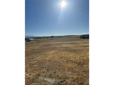 472 Roundup Dr - photo 4