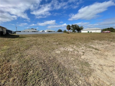 Welcome to Cape Coral, where this vacant lot awaits your - photo 2