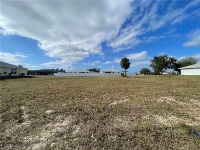 Welcome to Cape Coral, where this vacant lot awaits your - photo 6