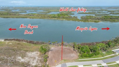 What a view! Direct Intracoastal. This wide section of the - photo 7