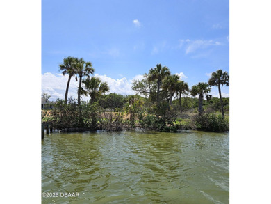 What a view! Direct Intracoastal. This wide section of the - photo 9