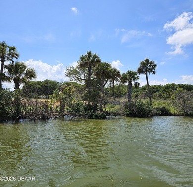 What a view! Direct Intracoastal. This wide section of the - photo 10