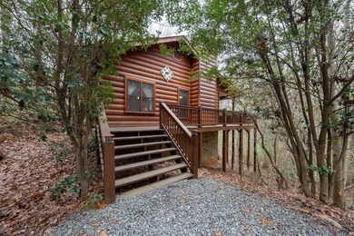 Cherry Log Lake Home For Sale in Blue Ridge Georgia