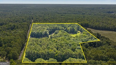 I am excited to feature this exceptional 4-bedroom, 3-bathroom - photo 14