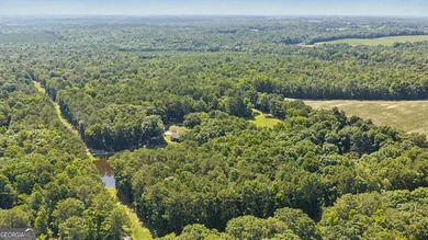 I am excited to feature this exceptional 4-bedroom, 3-bathroom - photo 17