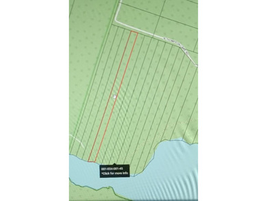 10 acres of Nicely wooded property and 100 feet of frontage on - photo 1