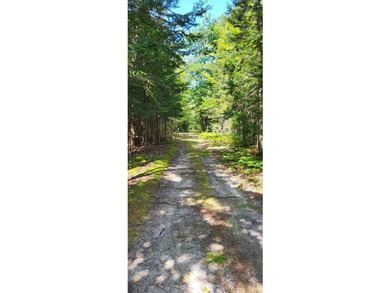 10 acres of Nicely wooded property and 100 feet of frontage on - photo 2