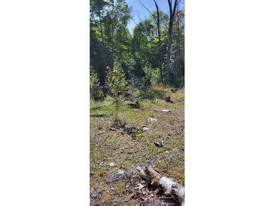 10 acres of Nicely wooded property and 100 feet of frontage on - photo 3