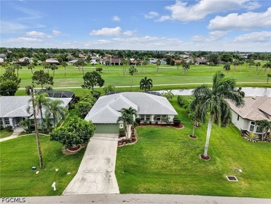 Welcome to your own private paradise in the heart of Cape Coral! - photo 3