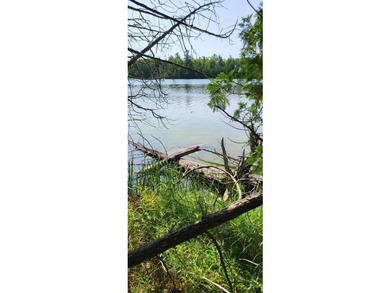 10 acres of Nicely wooded property and 100 feet of frontage on - photo 4