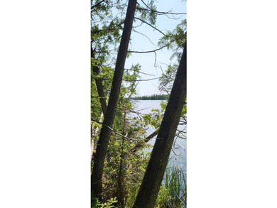 10 acres of Nicely wooded property and 100 feet of frontage on - photo 5